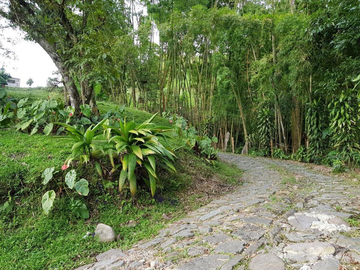 Lodge Paraiso Verde La Linda 外观 照片